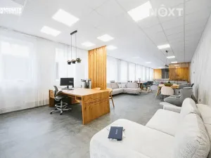 Prodej obchodního prostoru, Vyškov, Žižkova, 900 m2