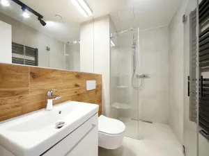 Pronájem bytu 2+kk, Brno, Cejl, 47 m2