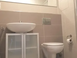 Pronájem bytu 1+kk, Praha - Letňany, Hlučkova, 38 m2