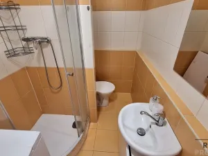 Pronájem bytu 1+1, Ústí nad Labem, Šípková, 32 m2