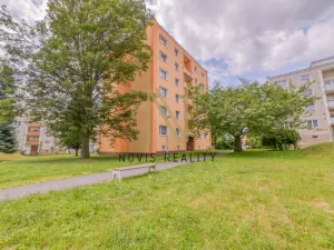 Pronájem bytu 1+1, Mariánské Lázně, Dřevěná, 40 m2