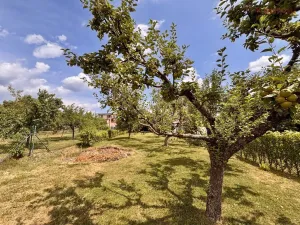 Prodej rodinného domu, Habrovany, 100 m2