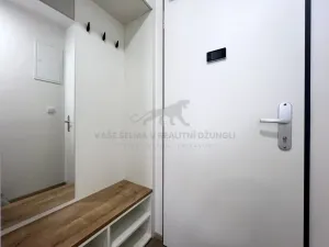 Pronájem bytu 1+kk, Praha - Smíchov, Plzeňská, 20 m2