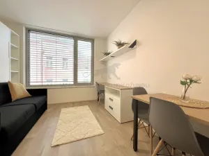 Pronájem bytu 1+kk, Praha - Smíchov, Plzeňská, 20 m2