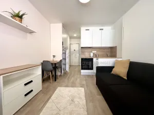 Pronájem bytu 1+kk, Praha - Smíchov, Plzeňská, 20 m2
