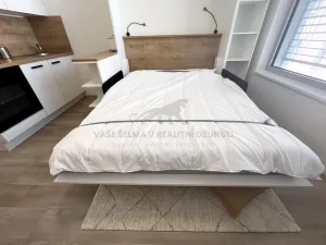 Pronájem bytu 1+kk, Praha - Smíchov, Plzeňská, 20 m2