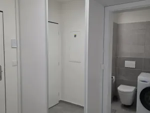 Pronájem bytu 1+kk, Brno - Trnitá, Křenová, 28 m2