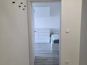 Pronájem bytu 1+kk, Brno - Trnitá, Křenová, 28 m2