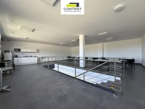 Pronájem skladu, Týn nad Vltavou - Malá Strana, Průmyslová, 4546 m2