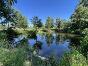 Prodej komerčního pozemku, Břeclav - Poštorná, 4463 m2