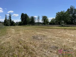 Prodej komerčního pozemku, Břeclav - Poštorná, 4463 m2