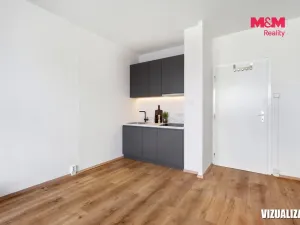 Prodej bytu 1+kk, Praha - Chodov, Machkova, 29 m2