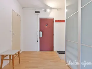 Pronájem bytu 1+kk, Brno, Spodní, 32 m2