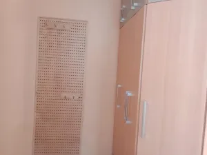 Pronájem bytu 1+1, Přerov - Přerov I-Město, Dvořákova, 40 m2