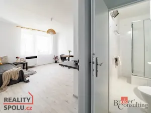Prodej bytu 1+kk, Třeboň - Třeboň II, U Francouzů, 25 m2