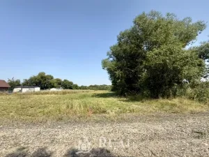 Prodej pozemku pro bydlení, Cítoliby, U Bažantnice, 1213 m2