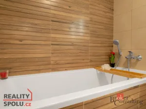 Prodej bytu 2+kk, Plzeň - Jižní Předměstí, Železná, 81 m2