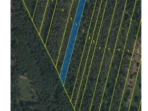 Prodej lesa, Třeboň - Břilice, 32388 m2