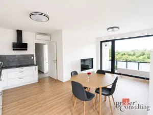 Pronájem bytu 3+kk, Plzeň - Východní Předměstí, Kartónová, 104 m2