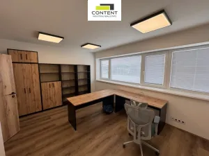 Pronájem výrobních prostor, Herink, Hlavní, 1106 m2