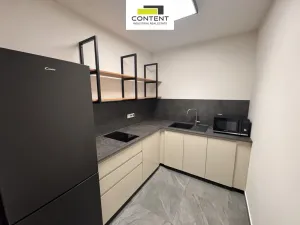 Pronájem výrobních prostor, Herink, Hlavní, 1106 m2