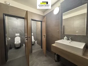 Pronájem výrobních prostor, Herink, Hlavní, 1106 m2