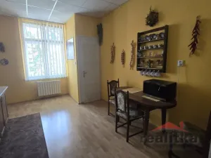 Prodej bytu 2+1, Opava - Předměstí, Gogolova, 78 m2