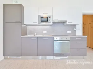 Pronájem bytu 1+kk, Brno, Sportovní, 39 m2