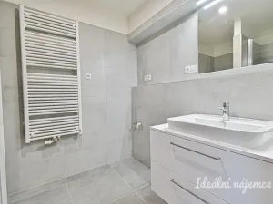Pronájem bytu 1+kk, Brno, Sportovní, 39 m2
