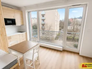 Pronájem bytu 1+kk, Brno - Staré Brno, 27 m2