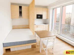 Pronájem bytu 1+kk, Brno - Staré Brno, 27 m2