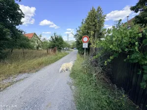 Prodej pozemku pro bydlení, Veverská Bítýška, 774 m2