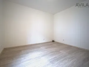 Pronájem bytu 1+kk, Zvěstov - Roudný, 27 m2