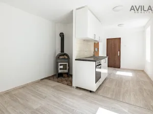 Pronájem bytu 1+kk, Zvěstov - Roudný, 27 m2