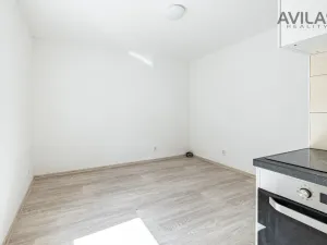 Pronájem bytu 1+kk, Zvěstov - Roudný, 27 m2