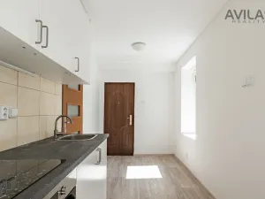 Pronájem bytu 1+kk, Zvěstov - Roudný, 27 m2