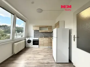 Pronájem bytu 1+1, Děčín, Plavební, 28 m2
