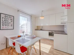 Pronájem bytu 2+kk, Plzeň - Lobzy, Sušická, 46 m2