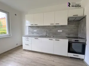 Pronájem bytu 2+1, Ostrov, S. K. Neumanna, 56 m2