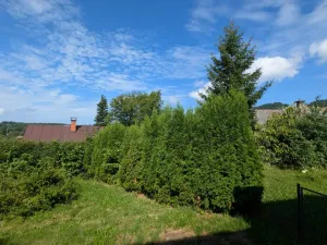 Prodej rodinného domu, Zásada, 65 m2