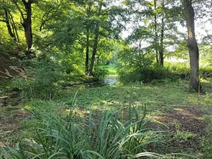 Prodej pozemku, Březina, 842 m2