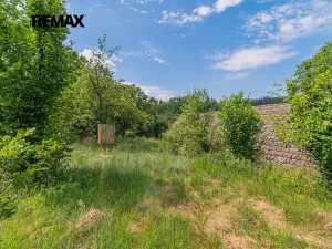 Prodej chalupy, Čížkov, 95 m2