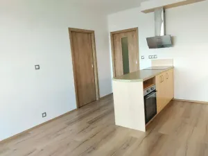 Pronájem bytu 2+kk, Plzeň, K Lutové, 51 m2
