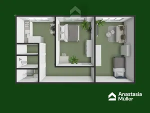 Pronájem bytu 2+1, Plzeň - Východní Předměstí, Francouzská třída, 58 m2