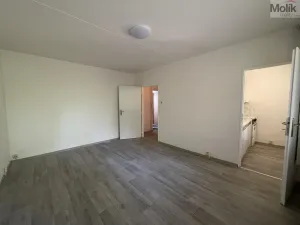 Pronájem bytu 1+kk, Bílina - Pražské Předměstí, Alšova, 27 m2