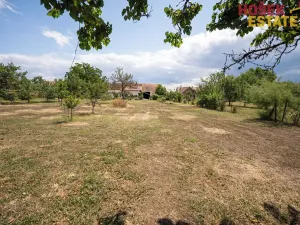 Prodej rodinného domu, Trnové Pole, 290 m2
