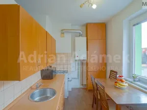Prodej bytu 2+1, Duchcov, 49 m2