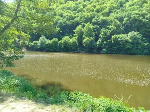 Prodej chaty, Petrov, 31 m2