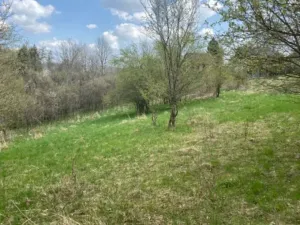 Prodej pozemku pro bydlení, Sázava, 7630 m2