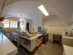 Prodej obchodního prostoru, Šatov, 470 m2